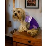 Chique Purple Duo Panda Tulum Köpek Kıyafeti - M