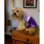 Chique Purple Duo Panda Tulum Köpek Kıyafeti - XS