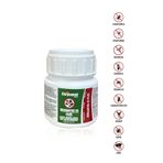 Chrysamed Konsantre Ec Plus 100 ml