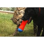 Chuckit! Tumble Bumper Suda Batmayan Köpek Oyuncağı (Orta Boy)