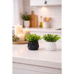 Çiçek 2 li modern saksı ve yeşil bitki şöleni