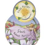 ÇİÇEK PERILER: SIHIRLI BAHÇE PARTISI - SUE MCMILLAN