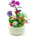 Çiçek Seli Beyaz Boncuk Saksıda Orkide Kalanchoe Sukulent Hediye Çiçek Canlı Bitki Mini Bahçe 15-20 cm