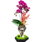 Çiçek Seli Helen Saksıda Tabak Detaylı Mini Orkide Phalaenopsis Tasarım Çiçek Dekoratif Çiçek Canlı Bitki