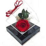 Çiçek Seli Ruby Kırmızı Solmayan Gül Okaliptus Sus Esyalari Masa Ustu Dekorasyon Hediye Çiçek