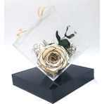 Çiçek Seli Ruby Lace Beyaz Solmayan Gül & Okaliptus Sonsuzluk Gulu Dekorasyon Gösterişli Hediye Çiçek