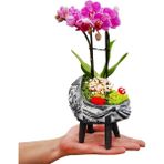 Çiçek Seli Vintage Beşik Beton Saksıda Mini Mor Orkide Bebek Hediyesi Canlı Çiçek Dekor 15-20 cm