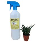 ÇİÇEK VE BİTKİLER İÇİN SİNEK VE YAPRAK BİTİ ILACI 1000 ML + SUKULET HEDİYELİ