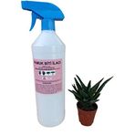 ÇİÇEK VE BİTKİLER İÇİN UNLU PAMUK BİTİ ILACI 1000 ML +(SUKULENT/KAKTÜS HEDİYELİ)