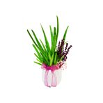 çiçekseli Aloe Vera ve Lavanta & Beyaz Beton Saksıda Sukulent Canlı Bitki Saksı Çiçekleri Hediye Aranjman