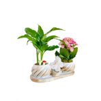 çiçekseli Barış Çiçeği Mini Spathiphyllum Ve Kalanchoe Kelebek Set & Ic Mekan Bitkileri & Hediye Canli Cicek