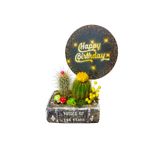 çiçekseli Kitap Görünümlü Saksıda Kaktüs Aranjman & Kaktüs Aranjman & Canlı Bitki & Hediye Kartlı çiçek