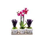 çiçekseli Mini Orkide Ve Mor Lavanta Set Efes Serisi Saksıda & Yıl Dönümü Hediye Bitki Canli Cicekler