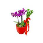 çiçekseli Red Heart Phalaenopsis Kırmızı Kalp Desenli Beton Saksıda Mini Mor Orkide Çiçeği Hediye Canlı Bitki