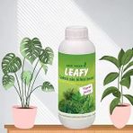 Çiçeksiz Bitkiler(STARLİÇE, AREKA PALMİYESİ, BONZAİ VB.) için Sıvı Besin,gübre(100 ml)