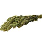 Cici Kuru Çiçek Kurutulmuş Seterya Demeti Naturel