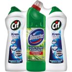 Cif Amonyaklı 2x500 ml + Domestos Dağ Esintisi 750 ml Çamaşır Suyu