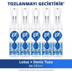 Cif Infinite Clean Doğal Probiyotikli Anti Toz Sprey Tüm Yüzeyler Için Lotus & Deniz Tuzu 280ML X5 - 280 ml
