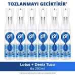 Cif Infinite Clean Doğal Probiyotikli Anti Toz Sprey Tüm Yüzeyler Için Lotus & Deniz Tuzu 280ML X6 - 280 ml