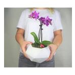 Çift Dal Mini Mor Orkide & Beyaz Geometrik Beton Saksıda Hediyelik Canlı Çiçek BALFLOWERDESİGN-2889