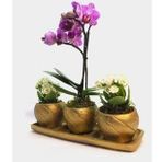 Çift Dal Mini Mor Orkide & Beyaz Kalanşo Kalanchoe & Altın Trio Curve Beton Saksıda Canlı Çiçek BALFLOWERDESİGN-2894