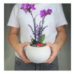 Çift Dal Mini Mor Orkide & Beyaz Venüs Beton Saksıda Hediyelik Canlı Çiçek BALFLOWERDESİGN-2899