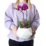 Çift Dal Mini Mor Orkide & Kokulu Lavanta & Beyaz Geometrik Beton Saksıda Hediyelik Canlı Çiçek BALFLOWERDESİGN-2917