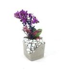 Çift Dal Mini Mor Orkide & Kokulu Lavanta & Gri Beyaz Lena Beton Saksıda Hediyelik Canlı Çiçek BALFLOWERDESİGN-2924