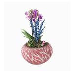 Çift Dal Mini Mor Orkide & Kokulu Lavanta & Kırmızı Vane Beton Saksıda Hediyelik Canlı Çiçek BALFLOWERDESİGN-2332