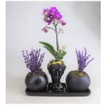 Çift Dal Mini Mor Orkide & Kokulu Lavanta & Siyah Helen Ve Venüs Beton Saksıda Canlı Çiçek BALFLOWERDESİGN-2336