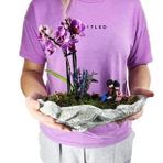 Çift Dal Mini Mor Orkide & Sırt Sırta Sevgili Biblo & Gri Roda Beton Saksıda Hediyelik Canlı Çiçek BALFLOWERDESİGN-2946