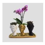 Çift Dal Mini Mor Orkide & Sukulent & Üç Renkli Trio Helen Beton Saksıda Hediyelik Canlı Çiçek BALFLOWERDESİGN-2378