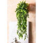 Cihan Çiçekçilik Yapay Okaliptus Sarmaşık 70 Cm