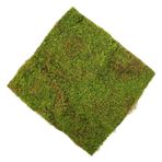 Ciieeo Simülasyon Yosun Çim Bahçe Kapalı Alanlarda Yosun Sanatı Veranda Için Dekorasyon Sahte Yosun Otu Sentetik Yapay Açık Havada Açık Çim Yosun Kilim Yeşil Green Plastik