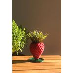 Çilek Mini Sukulent Saksısı - 7cm - Bioplastik -Alvina Atölye