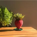 Çilek Saksı - Bioplastik - 7cm