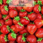 Çilek tohumu 1 Paket (0,5 Gr)