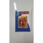 Çilek Tohumu 1 Paket %100 Yüksek Verimlidir. AFS0220