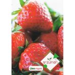 Çilek Tohumu Fragaria 100 Adet