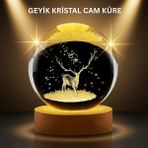 Cilt Dostu Profesyonel Makyaj Fırça Seti Pudra ve Fondöten Için Uygun ( Lisinya )