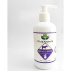 Cilton Eşek Sütü Kremi 250 ml