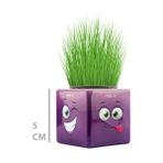 Çim Adam Mini Küp Emoji Figürlü 1 At