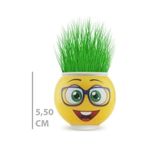 Çim Adam Saksı Emoji Figürlü 1 Adet