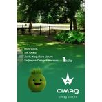 çimag Gölge Alanlar için Çim Tohumu (5 Mix Gölge) - 1 kg