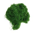 CIMAXIC Gerçekçi Sphagnum Yosunu - Dekoratif Yosun Orta Parçaları Için Yapay İç Mekan Yeşillik Yaprakları Minyatür Bahçe Yosunu Dekoru
