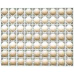 Çimuka Hindi/ Ördek Kuluçka Gelişim TABLASI(40X5X50)63HINDI Veya Ördek Yumurtası