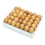 Çimuka Kuluçka Gelişim Tablası Ayarlanabilir 10 Adet Çıta ile SUNULUR(24.5X32.5 Cm)