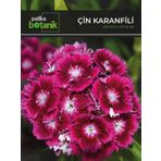 Çin Karanfili (dianthus Chinensis) Çiçek Tohumu 100 Adet