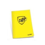 Çınar College Kareli A4 120 Yaprak Defter