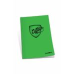 Çınar College Plastik Kapak A5 40 Yaprak Çizgili Defter